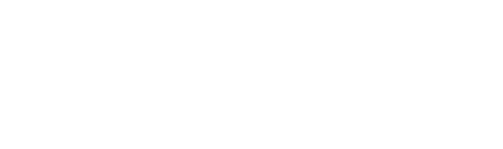 academy of accordions